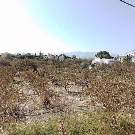 Miranta Hotel - Apartments & Studios Aegina エクステリア 写真