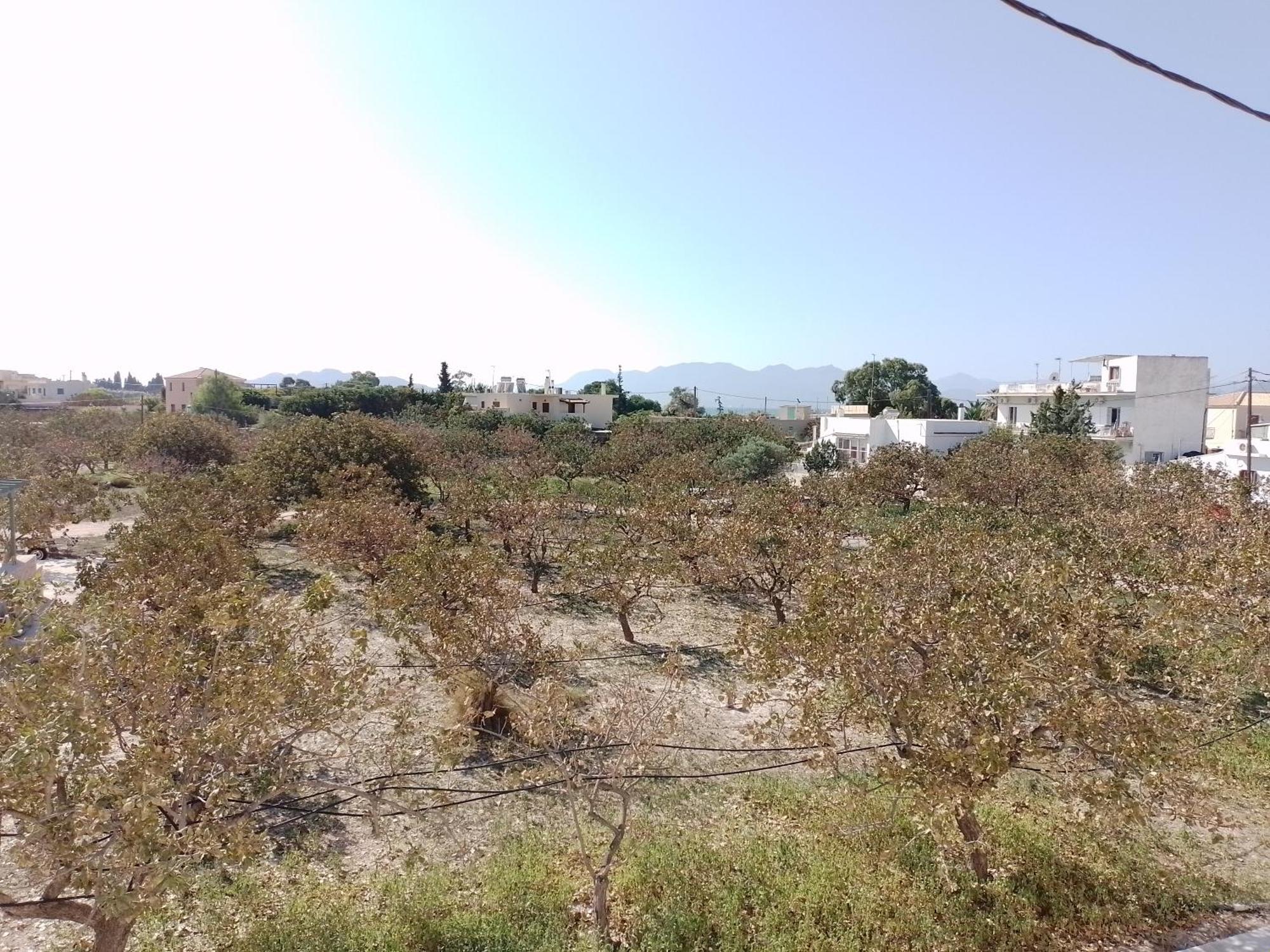 Miranta Hotel - Apartments & Studios Aegina エクステリア 写真